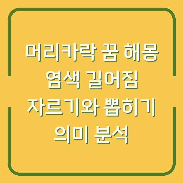 머리카락 꿈 해몽 염색 길어짐 자르기와 뽑히기 의미 분석