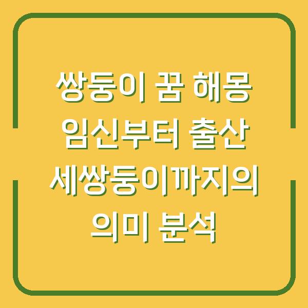 쌍둥이 꿈 해몽 임신부터 출산 세쌍둥이까지의 의미 분석
