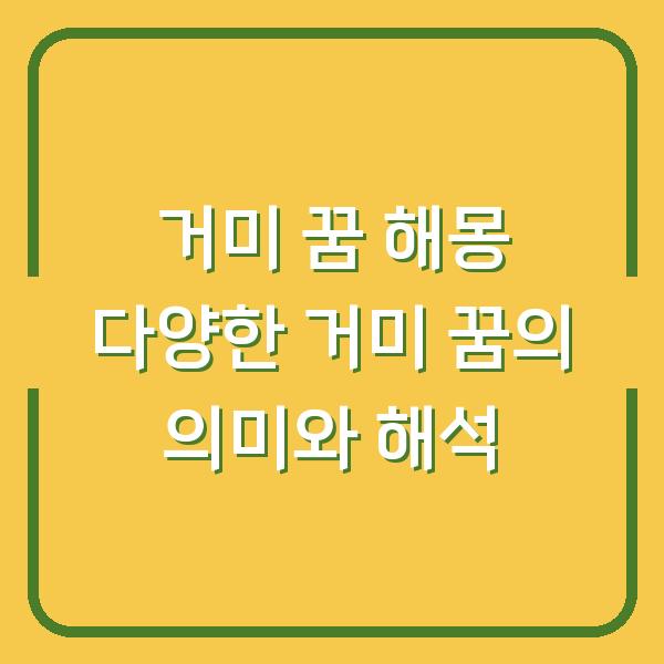 거미 꿈 해몽 다양한 거미 꿈의 의미와 해석