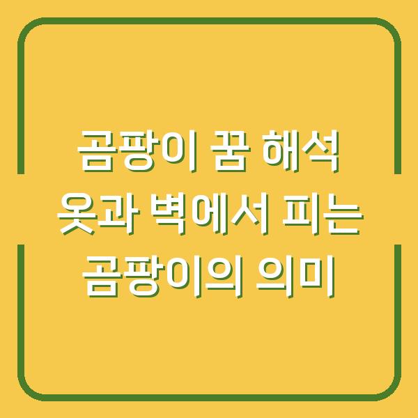 곰팡이 꿈 해석 옷과 벽에서 피는 곰팡이의 의미