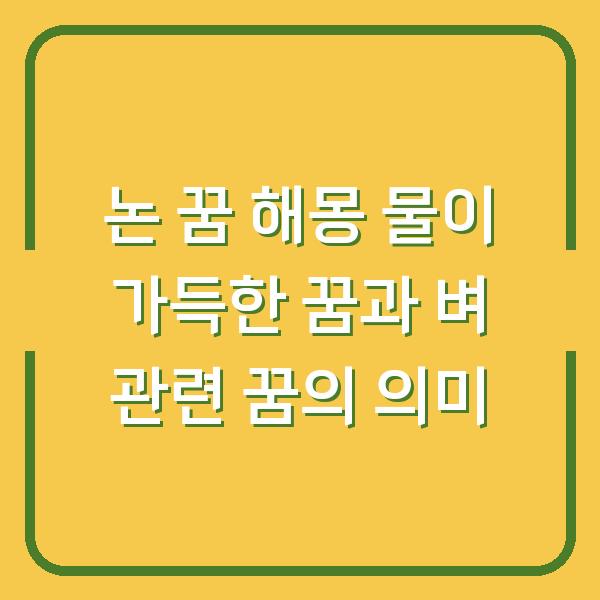 논 꿈 해몽 물이 가득한 꿈과 벼 관련 꿈의 의미