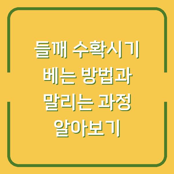 들깨 수확시기 베는 방법과 말리는 과정 알아보기