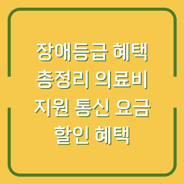 장애등급 혜택 총정리 의료비 지원 통신 요금 할인 혜택