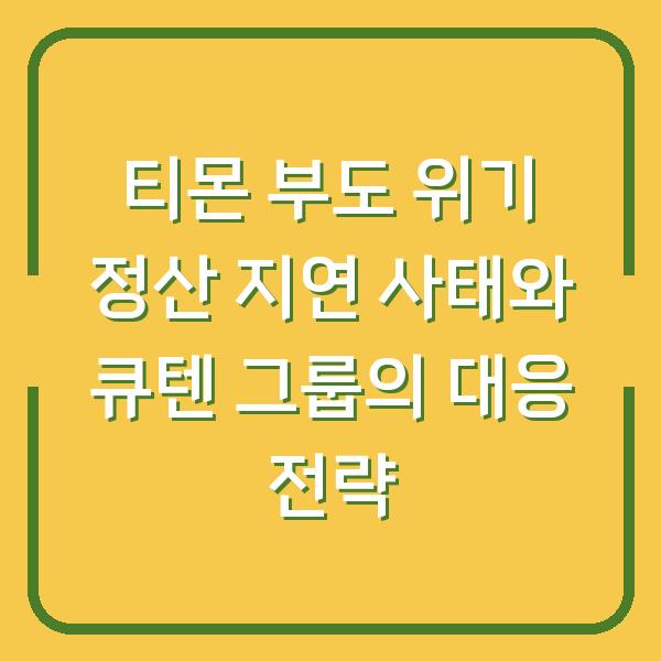티몬 부도 위기 정산 지연 사태와 큐텐 그룹의 대응 전략