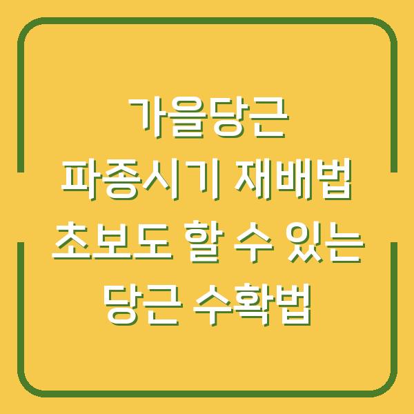 가을당근 파종시기 재배법 초보도 할 수 있는 당근 수확법