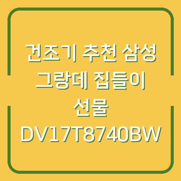 건조기 추천 삼성 그랑데 집들이 선물 DV17T8740BW