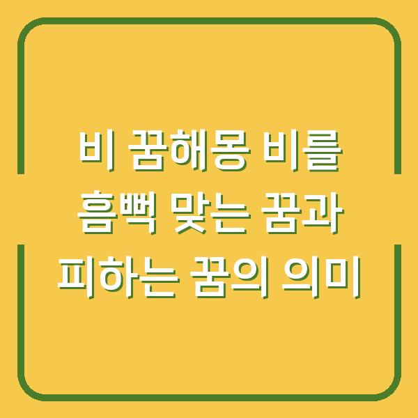 비 꿈해몽 비를 흠뻑 맞는 꿈과 피하는 꿈의 의미