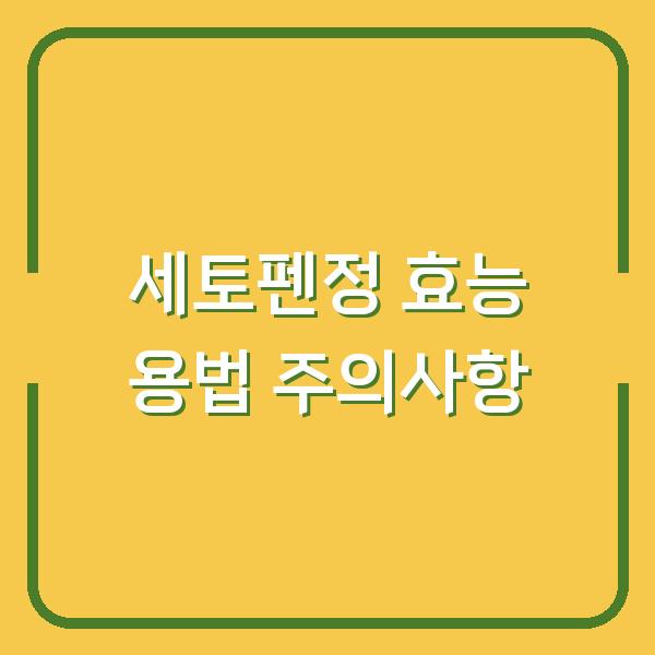 세토펜정 효능 용법 주의사항