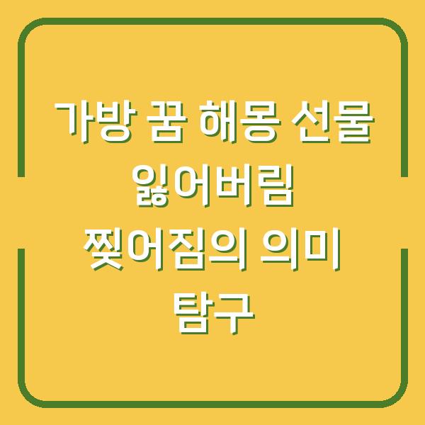 가방 꿈 해몽 선물 잃어버림 찢어짐의 의미 탐구