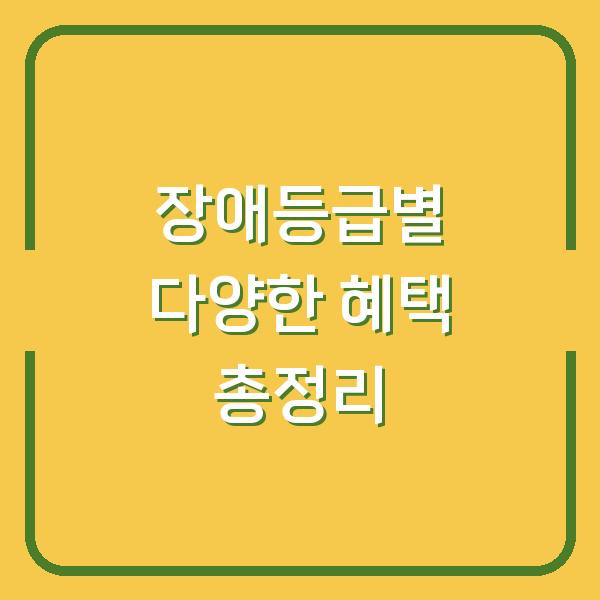 장애등급별 다양한 혜택 총정리