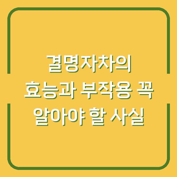 결명자차의 효능과 부작용 꼭 알아야 할 사실