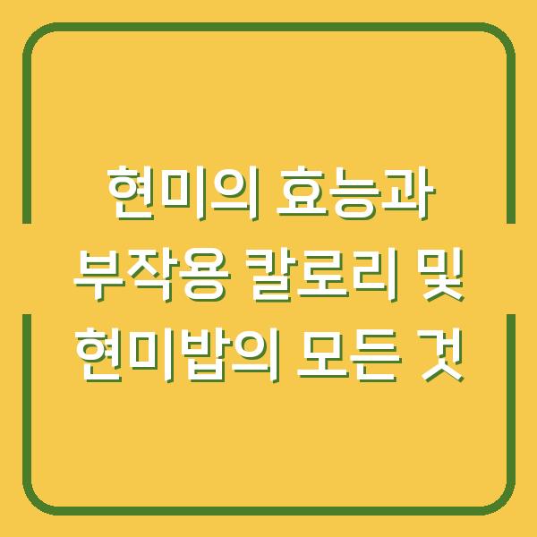 현미의 효능과 부작용 칼로리 및 현미밥의 모든 것