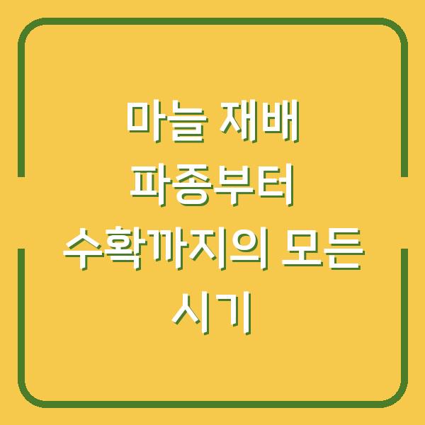 마늘 재배 파종부터 수확까지의 모든 시기