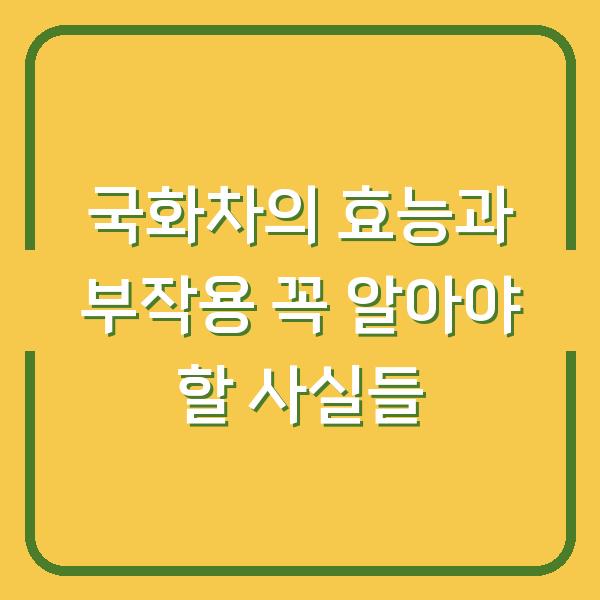 국화차의 효능과 부작용 꼭 알아야 할 사실들