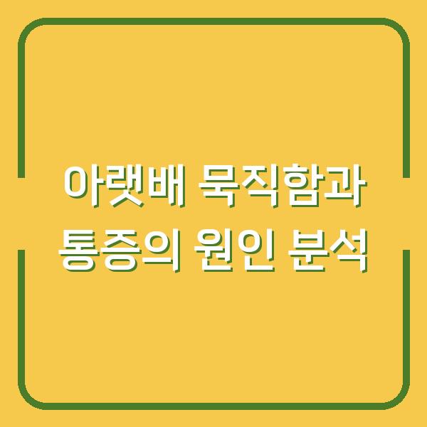 아랫배 묵직함과 통증의 원인 분석