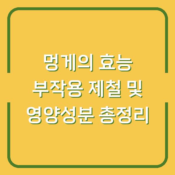 멍게의 효능 부작용 제철 및 영양성분 총정리