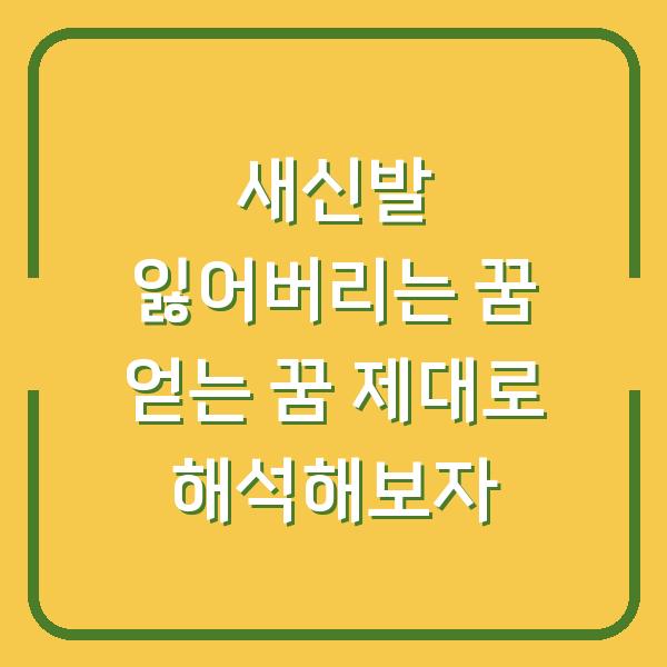 새신발 잃어버리는 꿈 얻는 꿈 제대로 해석해보자