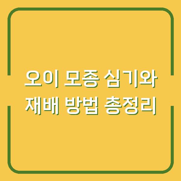 오이 모종 심기와 재배 방법 총정리
