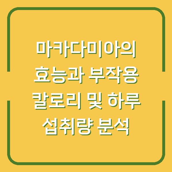 마카다미아의 효능과 부작용 칼로리 및 하루 섭취량 분석