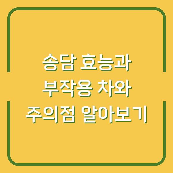 송담 효능과 부작용 차와 주의점 알아보기