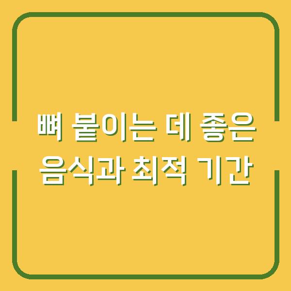 뼈 붙이는 데 좋은 음식과 최적 기간