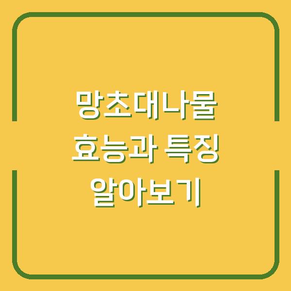 망초대나물 효능과 특징 알아보기