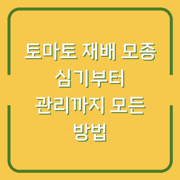 토마토 재배 모종 심기부터 관리까지 모든 방법