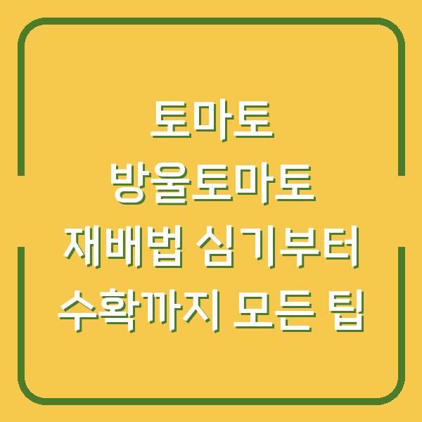 토마토 방울토마토 재배법 심기부터 수확까지 모든 팁