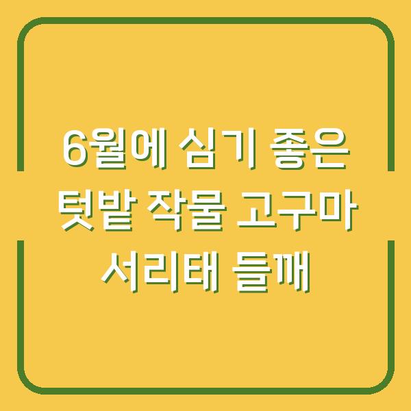 6월에 심기 좋은 텃밭 작물 고구마 서리태 들깨