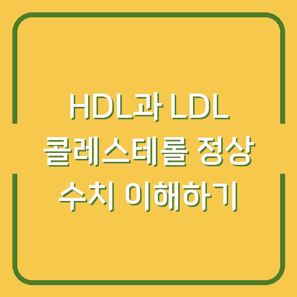 HDL과 LDL 콜레스테롤 정상 수치 이해하기