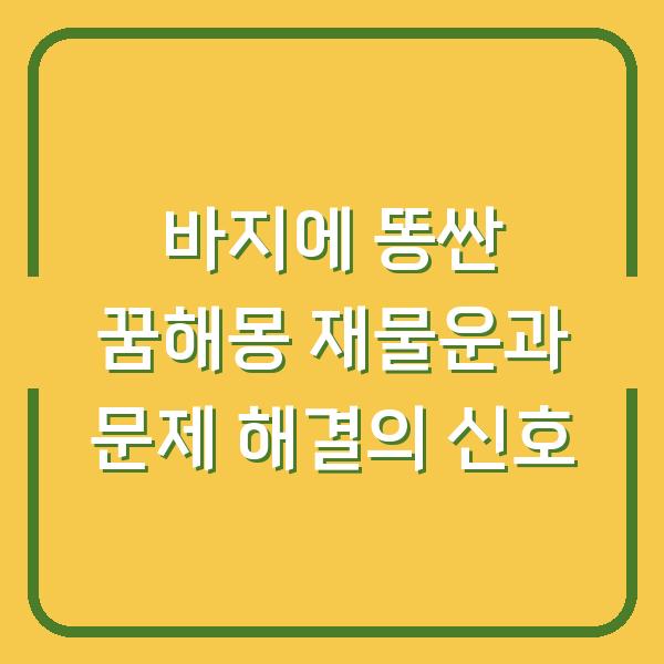 바지에 똥싼 꿈해몽 재물운과 문제 해결의 신호