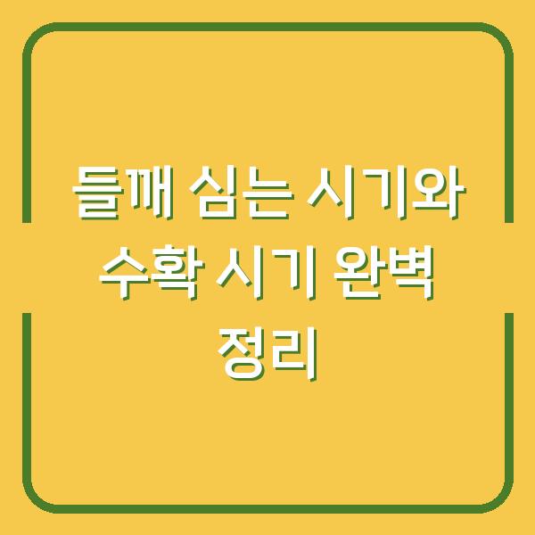 들깨 심는 시기와 수확 시기 완벽 정리