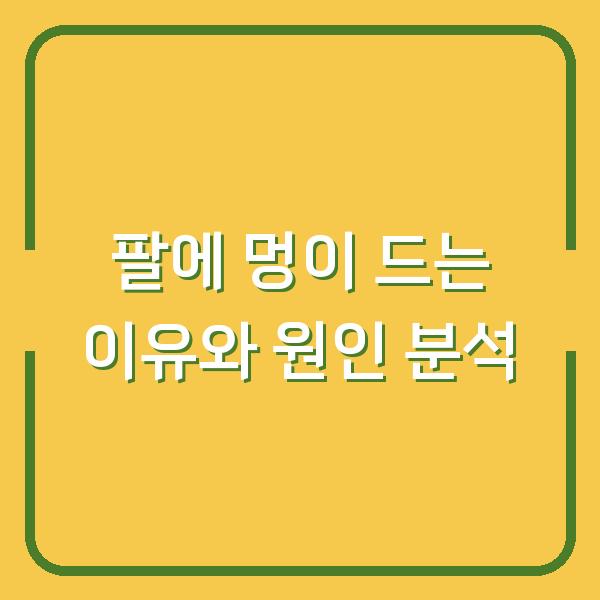 팔에 멍이 드는 이유와 원인 분석
