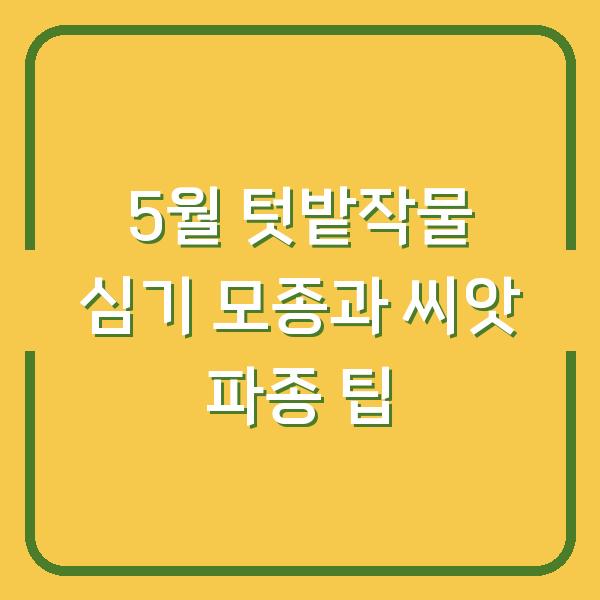 5월 텃밭작물 심기 모종과 씨앗 파종 팁