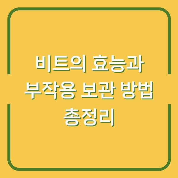 비트의 효능과 부작용 보관 방법 총정리