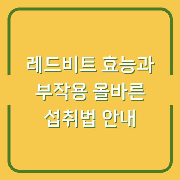 레드비트 효능과 부작용 올바른 섭취법 안내