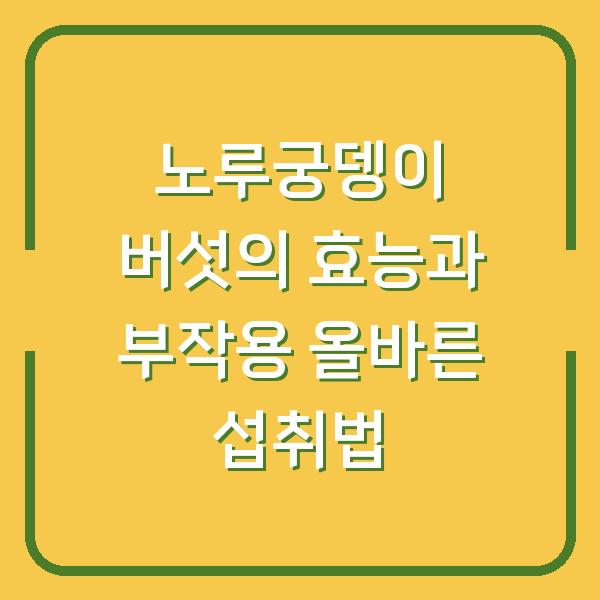 노루궁뎅이 버섯의 효능과 부작용 올바른 섭취법