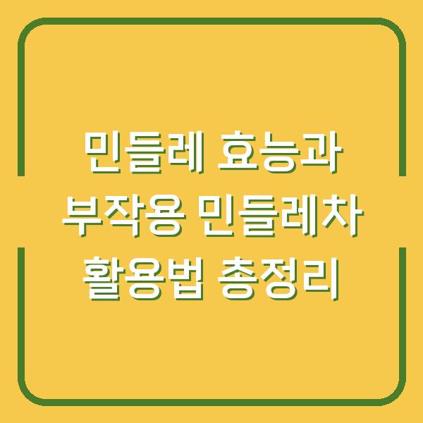 민들레 효능과 부작용 민들레차 활용법 총정리