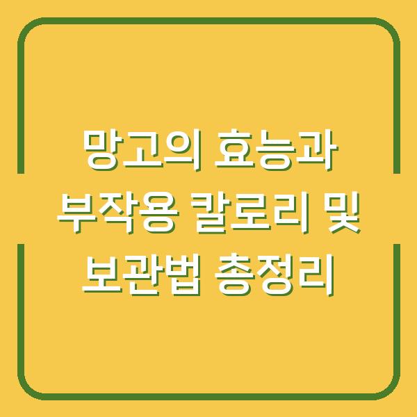 망고의 효능과 부작용 칼로리 및 보관법 총정리