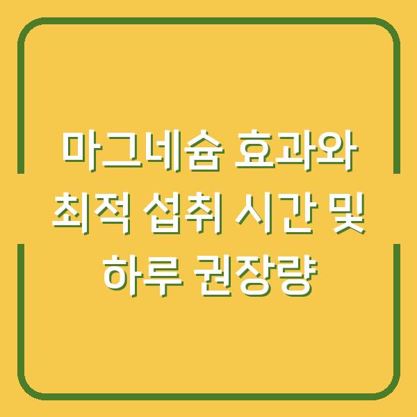 마그네슘 효과와 최적 섭취 시간 및 하루 권장량