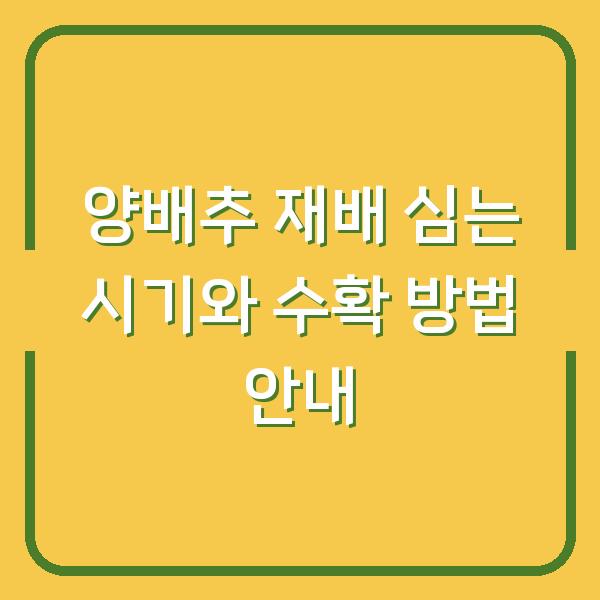 양배추 재배 심는 시기와 수확 방법 안내