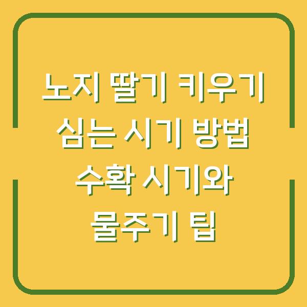 노지 딸기 키우기 심는 시기 방법 수확 시기와 물주기 팁