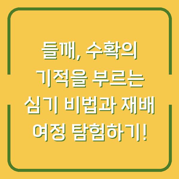 들깨, 수확의 기적을 부르는 심기 비법과 재배 여정 탐험하기!