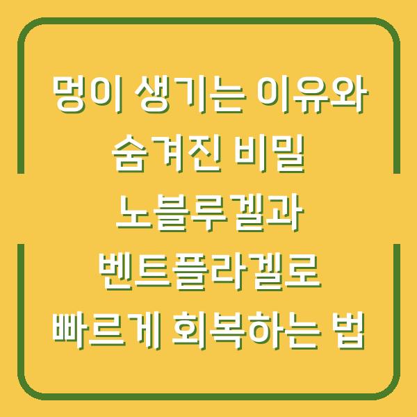 멍이 생기는 이유와 숨겨진 비밀 노블루겔과 벤트플라겔로 빠르게 회복하는 법
