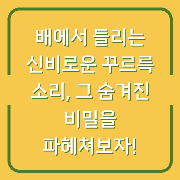 배에서 들리는 신비로운 꾸르륵 소리, 그 숨겨진 비밀을 파헤쳐보자!