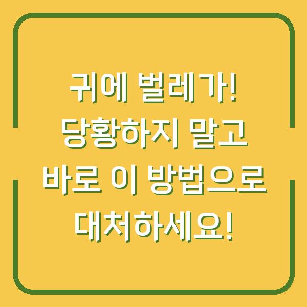 귀에 벌레가! 당황하지 말고 바로 이 방법으로 대처하세요!