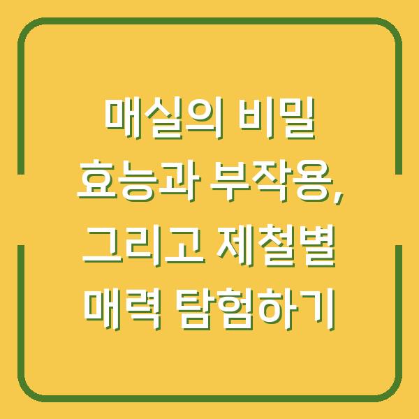 매실의 비밀 효능과 부작용, 그리고 제철별 매력 탐험하기