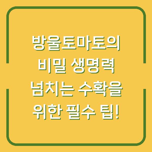 방울토마토의 비밀 생명력 넘치는 수확을 위한 필수 팁!