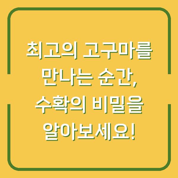 최고의 고구마를 만나는 순간, 수확의 비밀을 알아보세요!