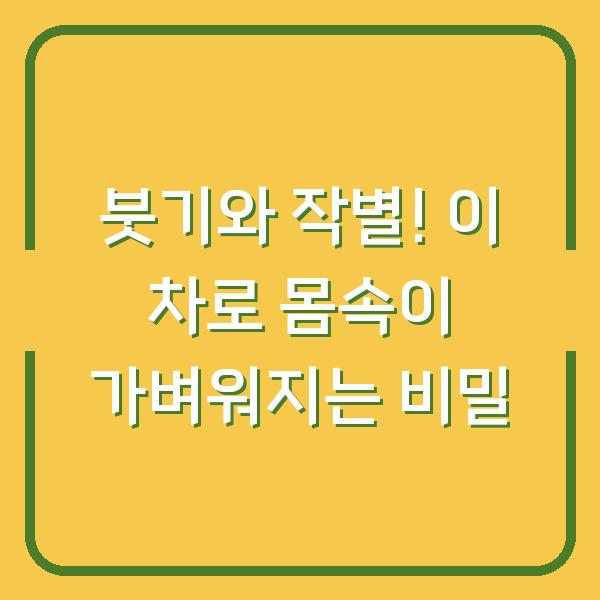 붓기와 작별! 이 차로 몸속이 가벼워지는 비밀